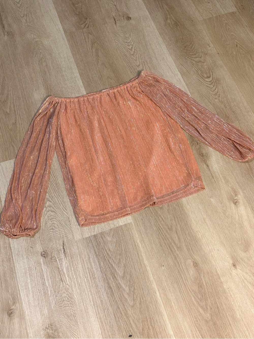 Willow & Root Women’s Pink Top Size XS Off the Shoulder Long Sleeve Blouse Shine